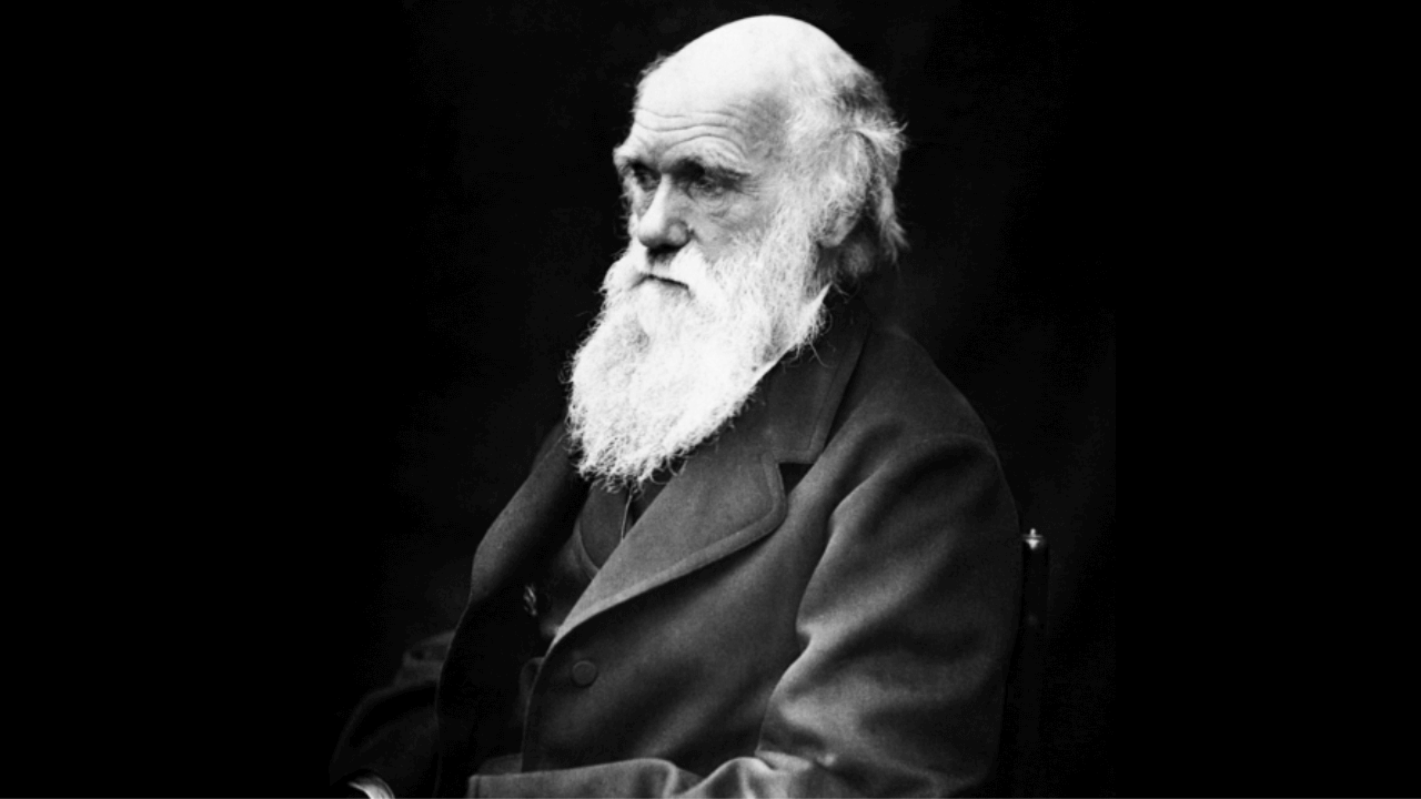 Scientists Protest the NCERT’s Decision to Eliminate Darwin’s Theory of Evolution