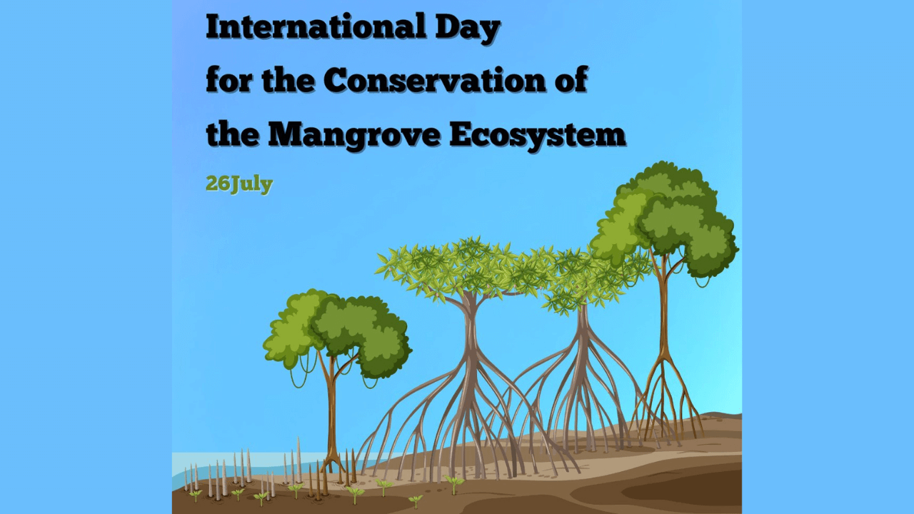 International Day for the Conservation of the Mangrove Ecosystem 2023